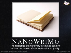 Nanowrimo