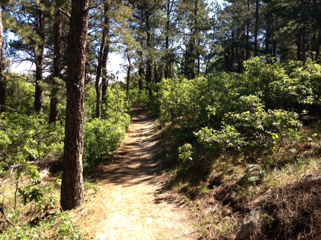 Colorado trail